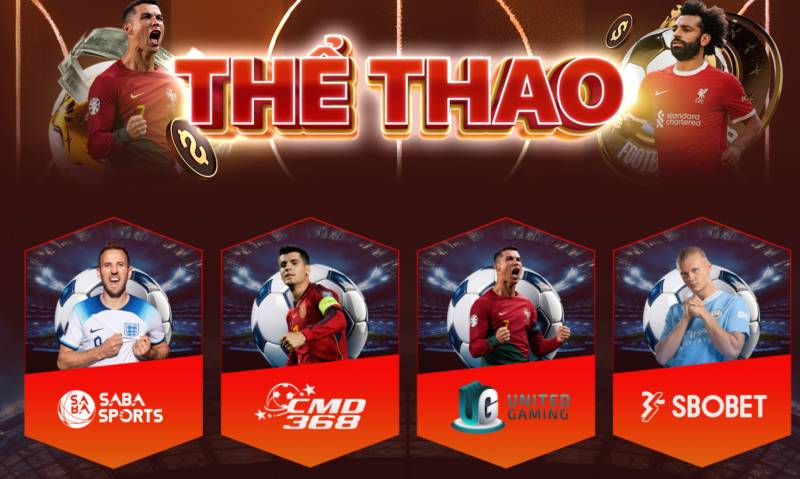 Cá cược thể thao – Mọi trận đấu đều nằm trong tầm tay