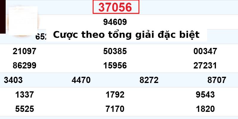 Dựa vào tổng giải đặc biệt